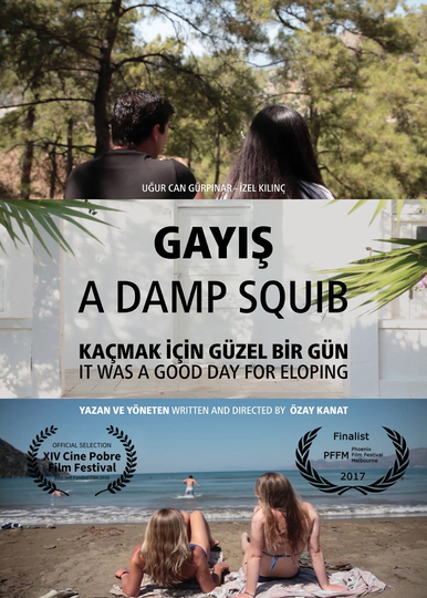 Gayış Poster