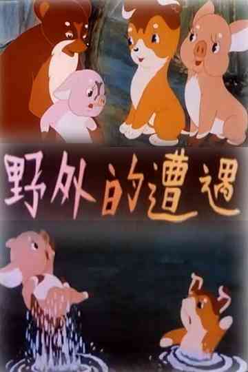 Wild Encounters Poster