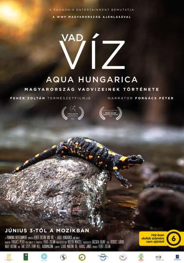 Vad víz  Aqua Hungarica Poster