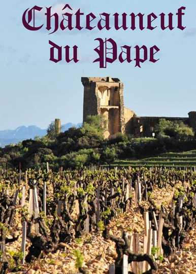 Château Neuf Du Pape  A Success Story