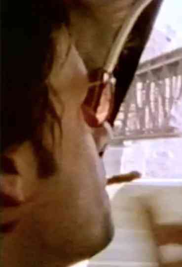 Seeing Through Paul Poster