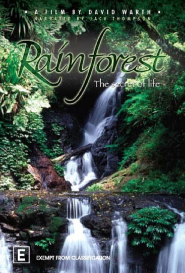 Rainforest The Secret Of Life