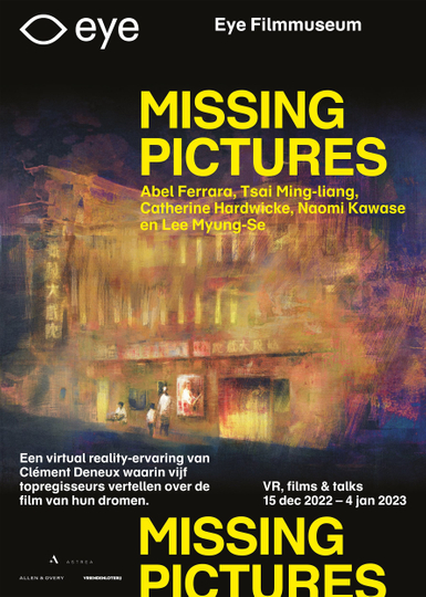 Missing Pictures Poster