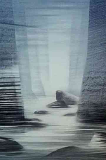 Journey Towards Light