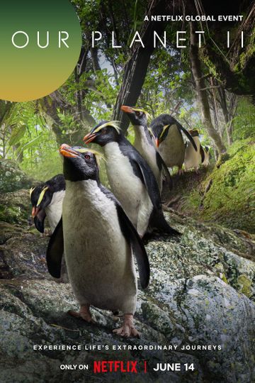 Our Planet II