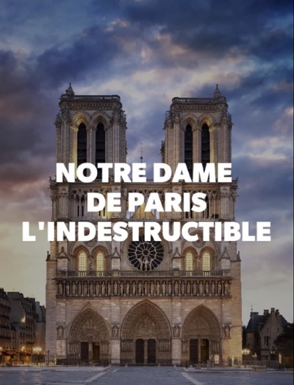 Notre-Dame de Paris L'indestructible