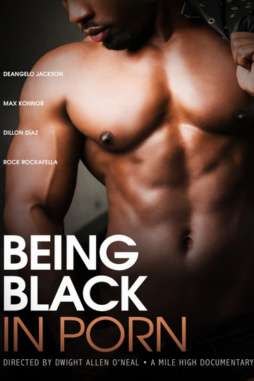 Being Black in Porn Poster