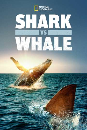 Shark Vs Whale Poster
