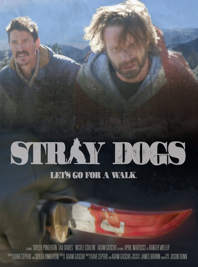 Stray Dogs Poster