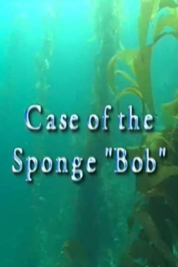 Case of the Sponge "Bob" Poster