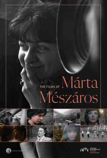 Diary Collection Poster