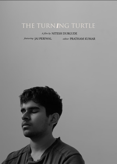 The Turning Turtle Poster