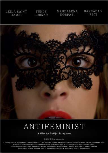 Antifeminist Poster