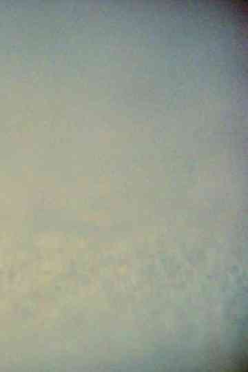 While Revolved