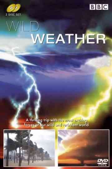 Wild Weather poster
