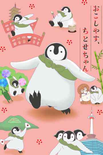 Welcome, Chitose-chan