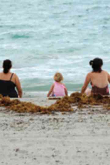 Rocking the Cradle: Gay Parenting