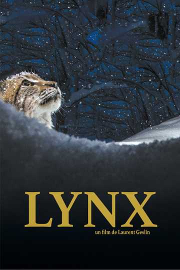 Lynx Poster