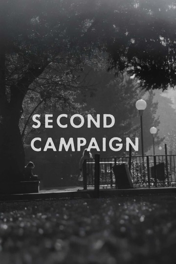 Second Campaign