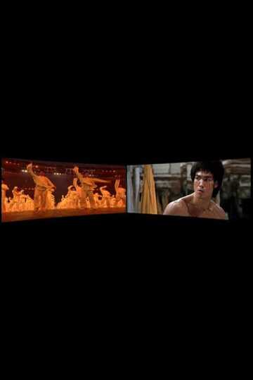 Enter the Dragon 19732008