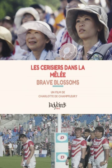 Les Cerisiers dans la Mêlée  Brave Blossoms