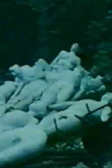 Heavenly Bodies