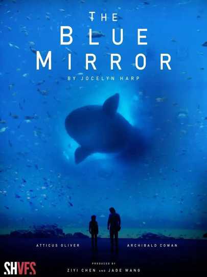 The Blue Mirror