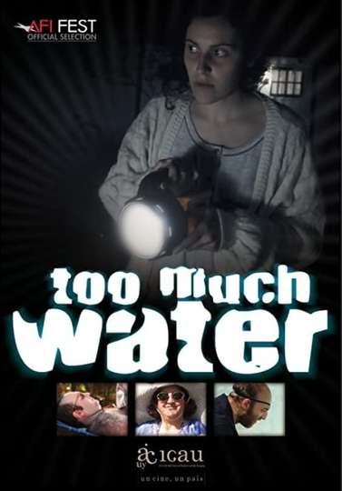 Too Much Water Poster