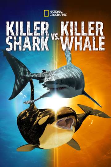 Killer Shark Vs Killer Whale Poster