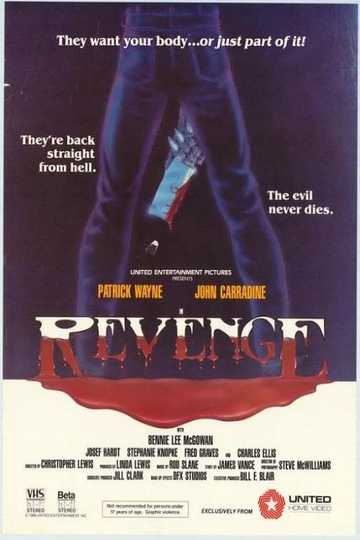 Revenge Poster