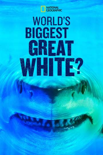Worlds Biggest Great White Poster
