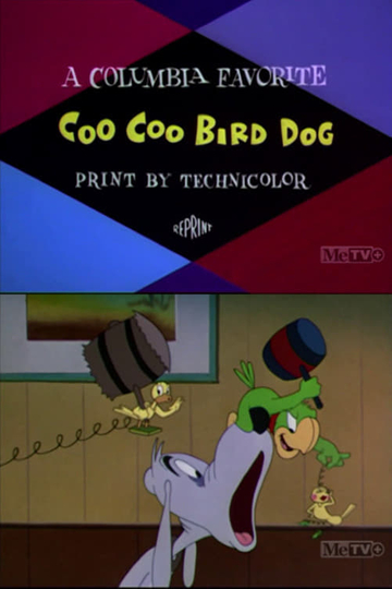 Coo-Coo Bird Dog