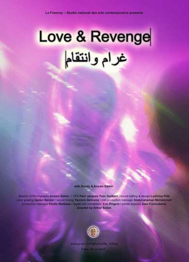 Love  Revenge Poster