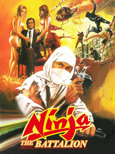 Ninja: The Battalion Poster