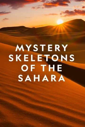 Mystery Skeletons of the Sahara Poster