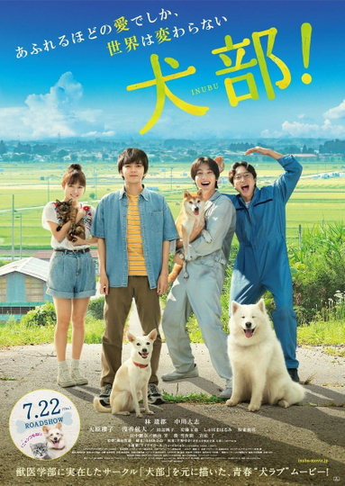 Inubu The Dog Club