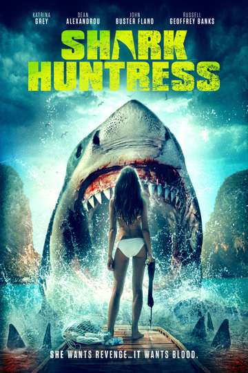 Shark Huntress Poster
