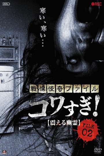 Senritsu Kaiki File Kowasugi! File 02: Shivering Ghost Poster