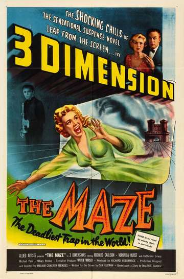 The Maze Poster