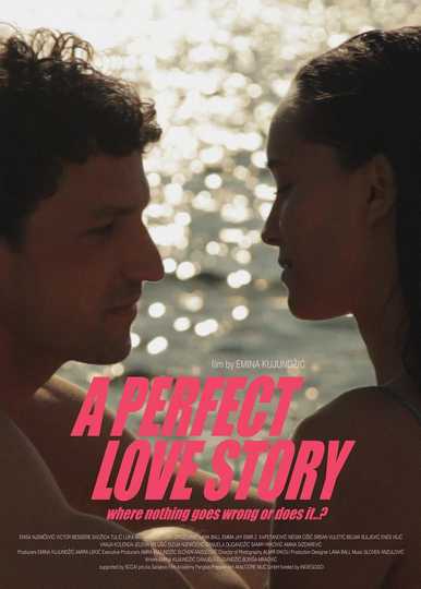 A Perfect Love Story Where Nothing Goes Wrong or Does It…? Poster