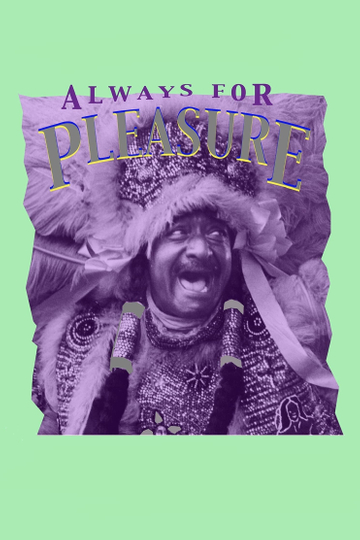 Always for Pleasure Poster