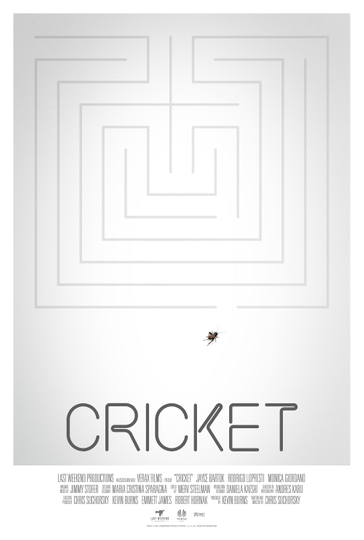 Cricket Poster