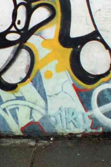 Luminous Veil Poster