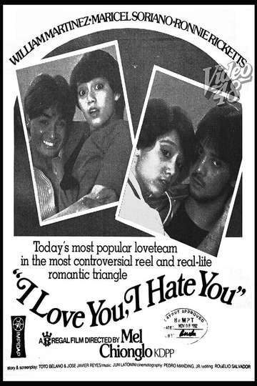 I Love You I Hate You Poster