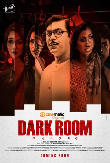 Dark Room Poster