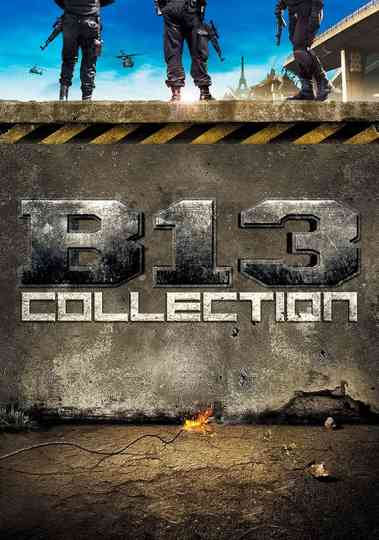 District 13 Collection Poster