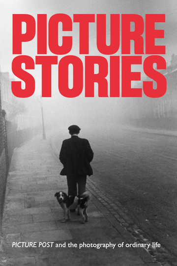 Picture Stories Poster