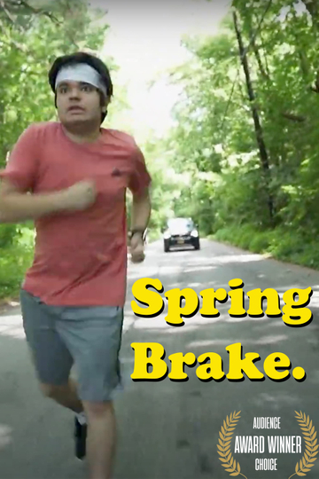 Spring Brake