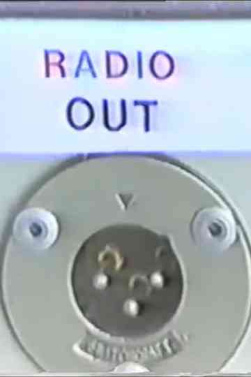 Electronical Politics