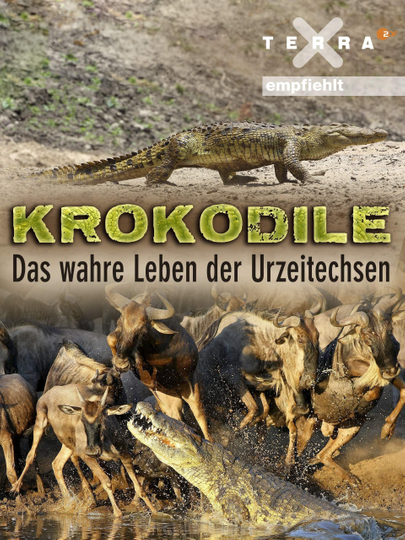 Crocodiles - The Private Life of Primeaval Reptiles